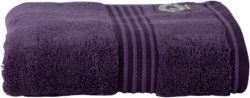 Christy - Supreme Hygro - Guest - Towel - Thistle